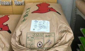 ジョイフル本田 千葉ニュータウン店でオススメ 千葉nt住民のベストバイはコレ Inzai Navi